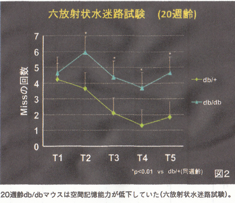 糖尿病による酸化ストレスと認知症 井口登與志教授 川村内科診療所様
